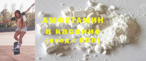 гашик Алексин