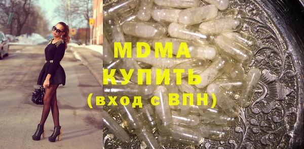 гашик Алексин