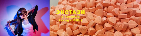 гашик Алексин