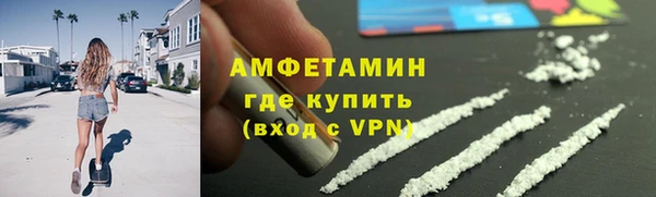 прущие грибы Бабаево