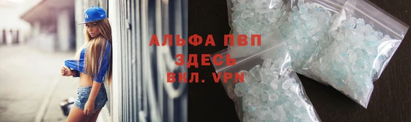 гашик Алексин