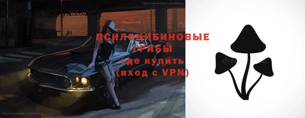 гашик Алексин