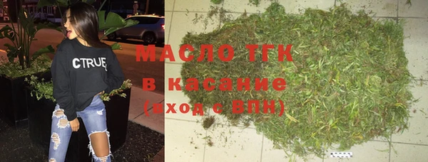 гашик Алексин