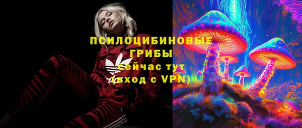 дживик Нея