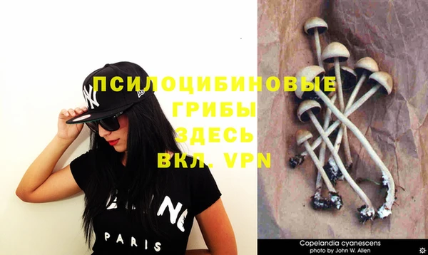 прущий лед Аша