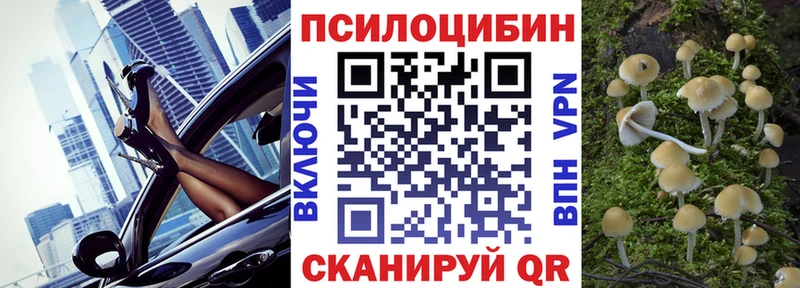 наркотики Медынь Псилоцибиновые грибы Psilocybe