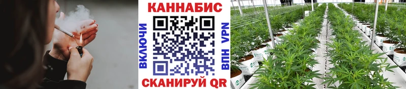 Шишки марихуана план  блэк спрут сайт  Медынь 